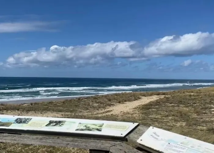 Remember A 700m De L'ocean * Mimizan Plage